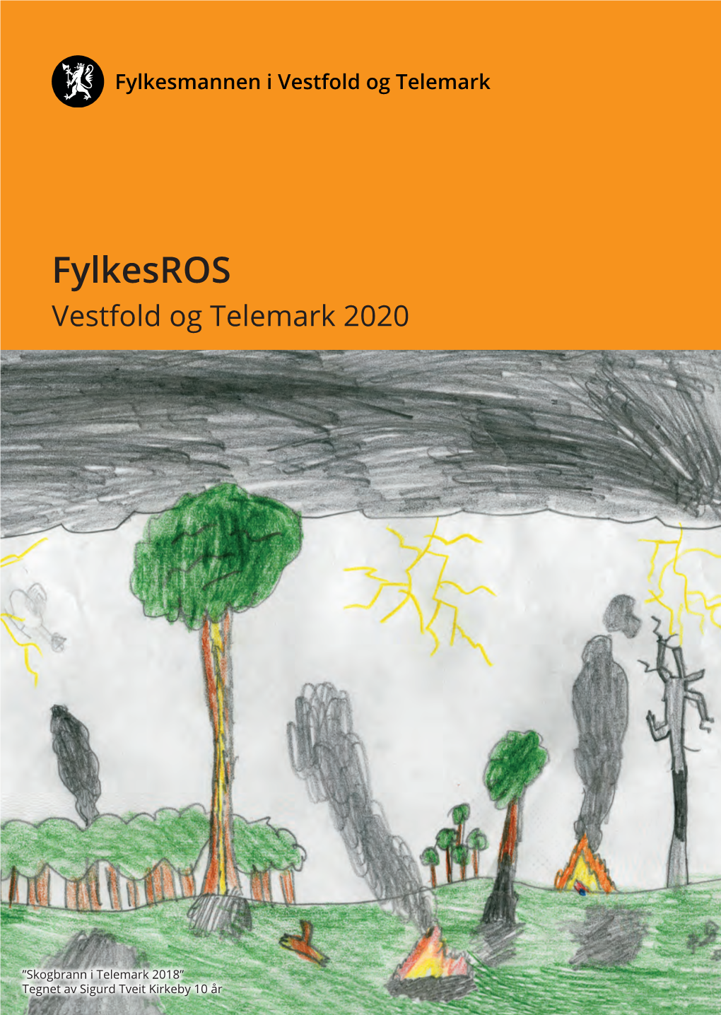 Fylkesros Vestfold Og Telemark 2020
