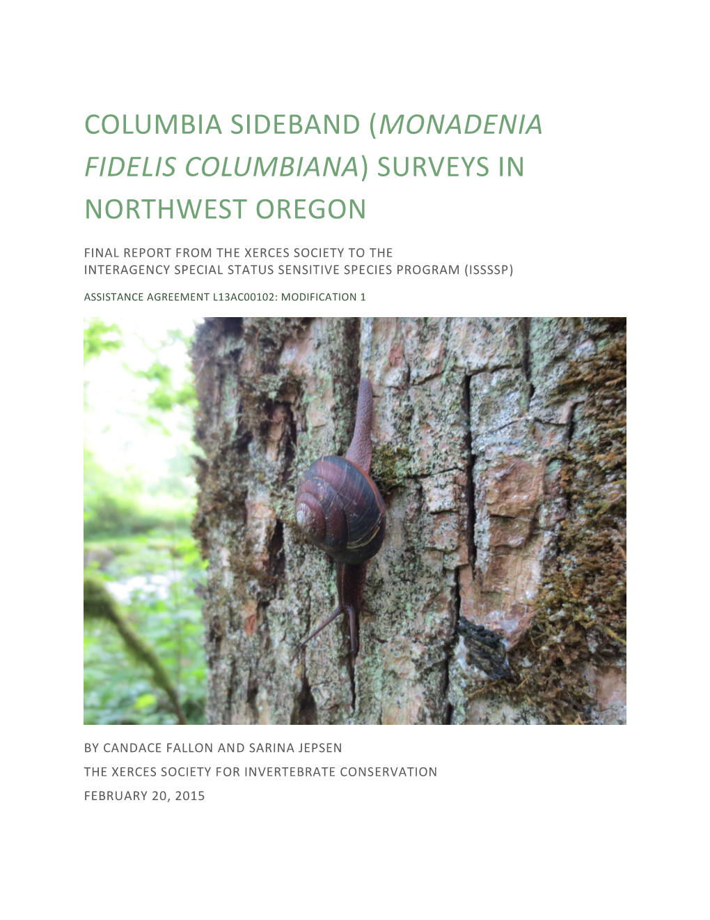 Columbia Sideband (Monadenia Fidelis Columbiana) Surveys in Northwest Oregon