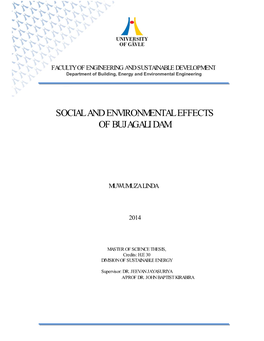 Social and Environmental Effects of Bujagali Dam