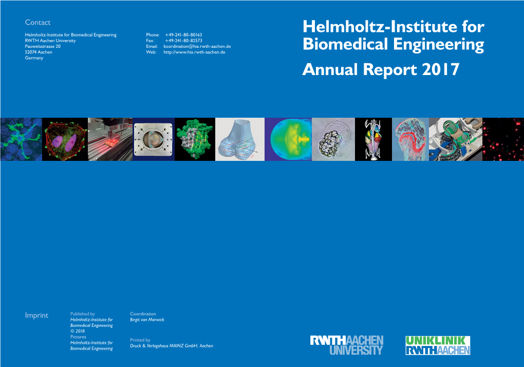 Helmholtz-Institute for Biomedical Engineering Annual Report 2017