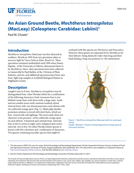 Coleoptera: Carabidae: Lebiini)1 Paul M