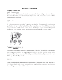 REPRODUCTION LICHEN Vegetative Reproduction: (A) by Fragmentation. Death and Decay of Older Parts of the Thallus Produce Smaller Pieces Which Give Rise to New Thallus