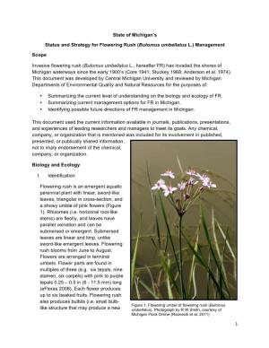 Status and Strategy for Flowering Rush (Butomus Umbellatus L.) Management