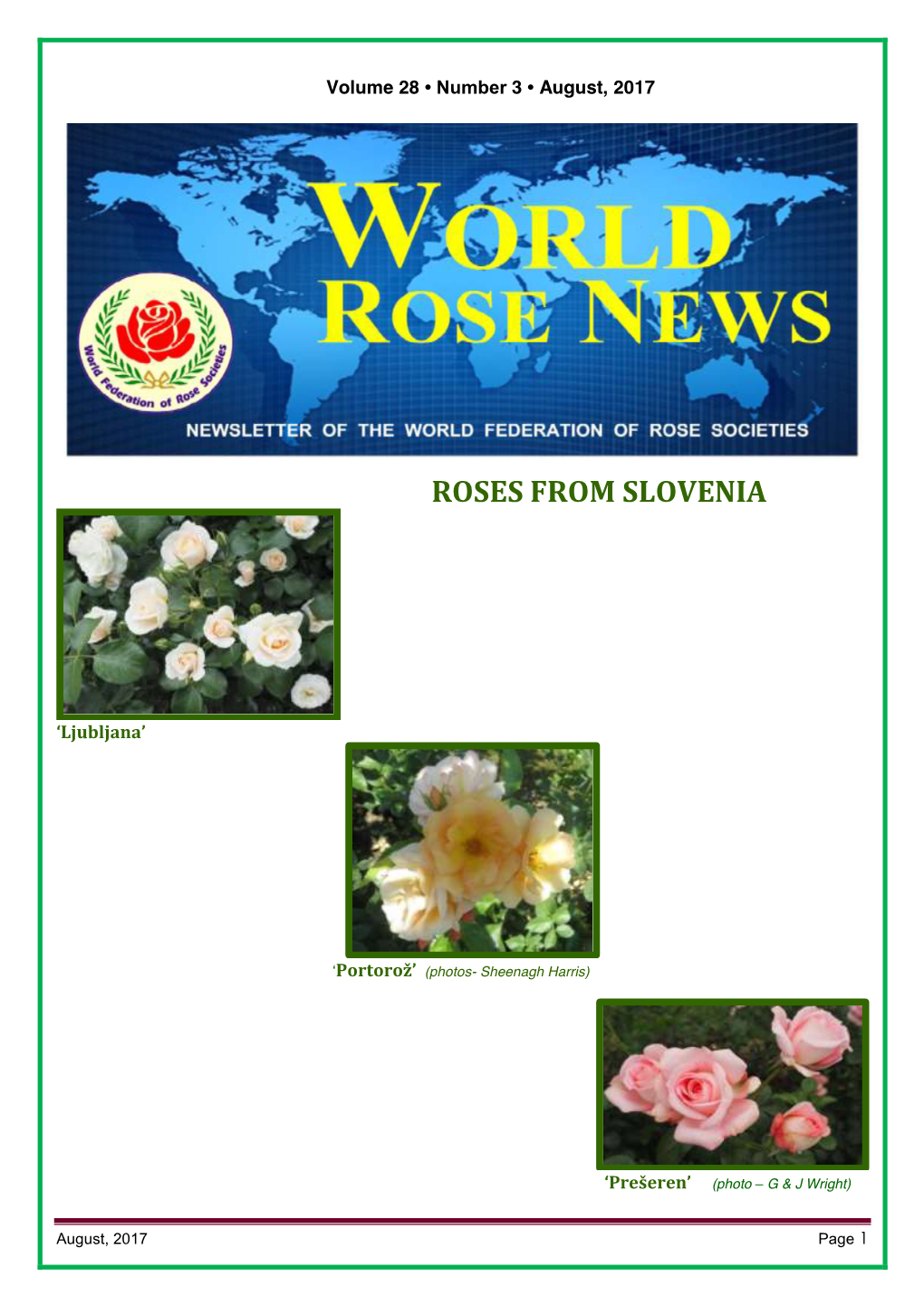 Roses from Slovenia