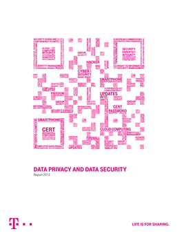 Report Data Privacy and Data Security 2013