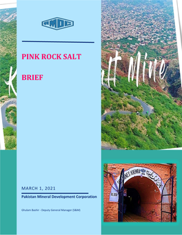 Pink Rock Salt Brief