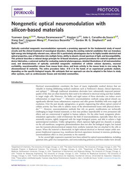 Nongenetic Optical Neuromodulation with Silicon-Based Materials
