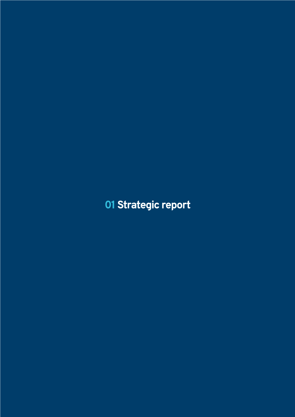 Download Strategic Report