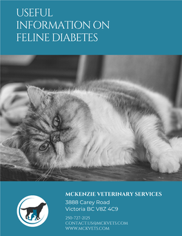 Feline Diabetes