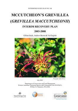 Grevillea Maccutcheonii)