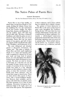 The Native Palms of Puerto Rico