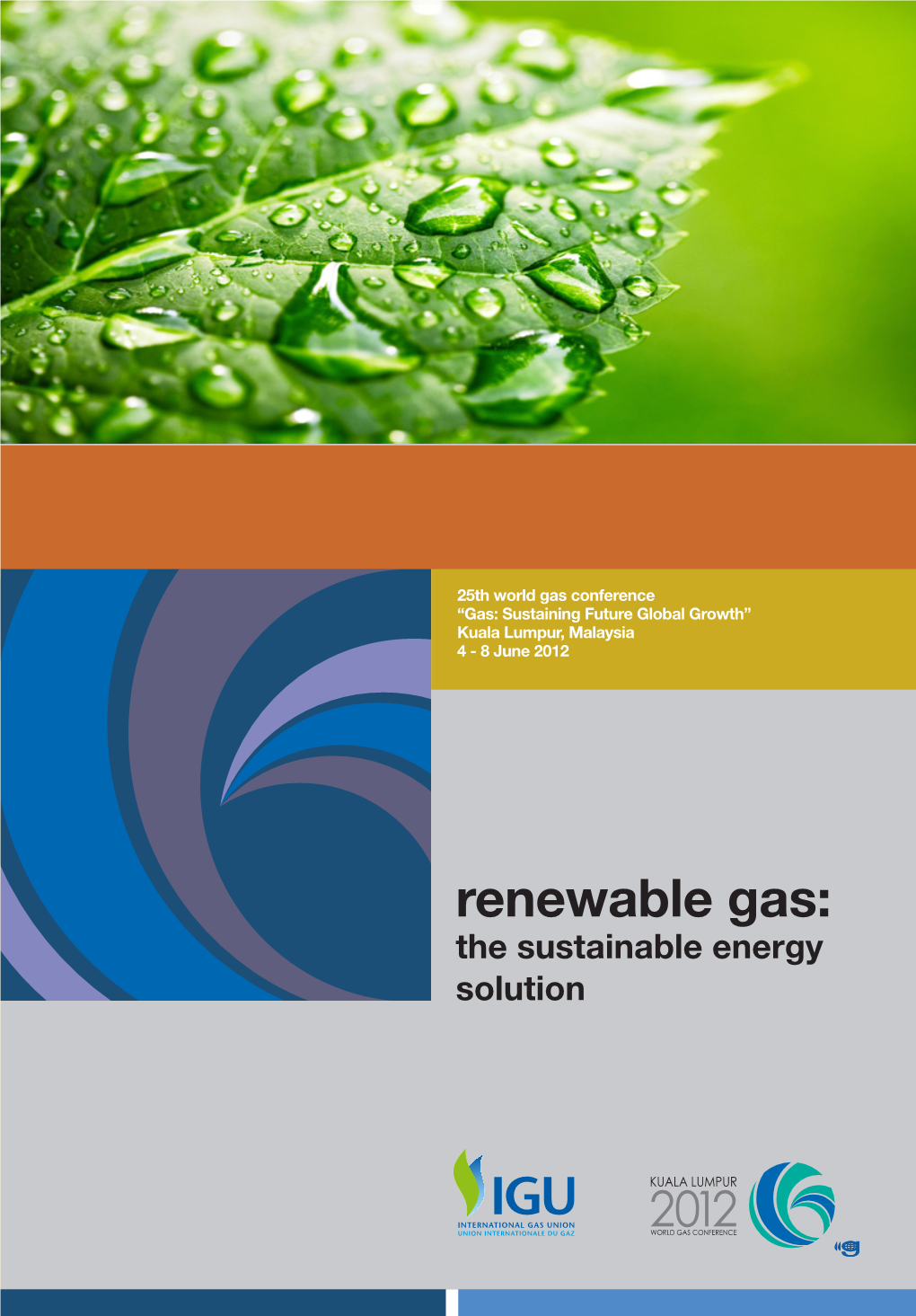 Renewable Gas: the Sustainable Energy Solution