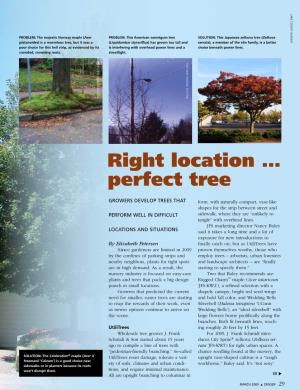 Right Location … Perfect Tree