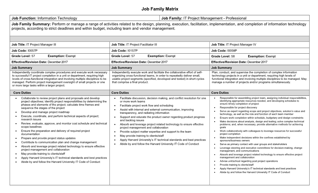 IT Project Management Matrix