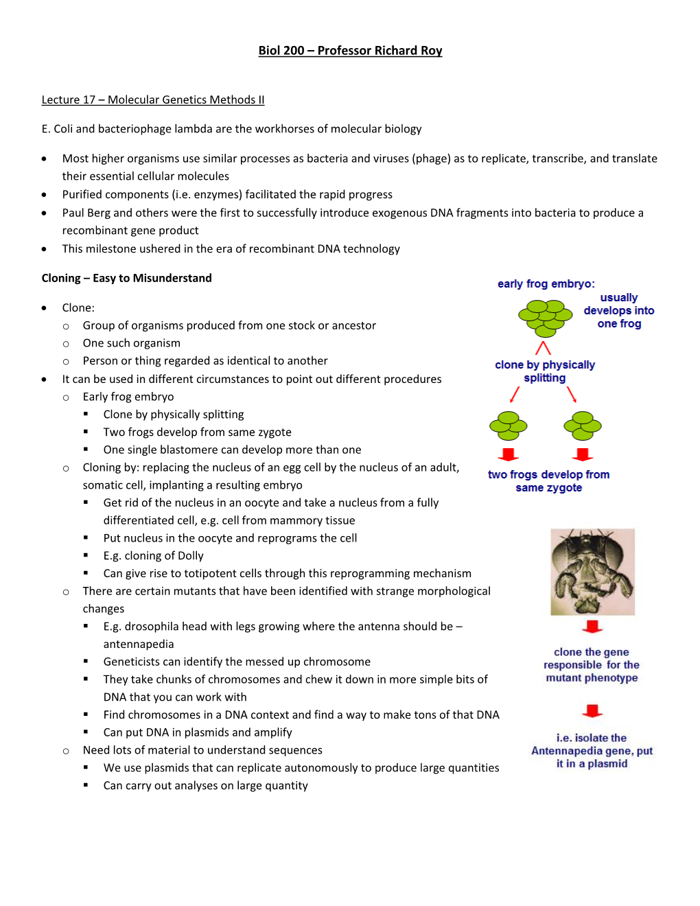 Biol 200 – Professor Richard Roy