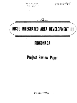 RINCONADA Project Review Paper