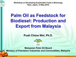 Exco65 P6 Palm Oil As Feedstock for Biodiesel