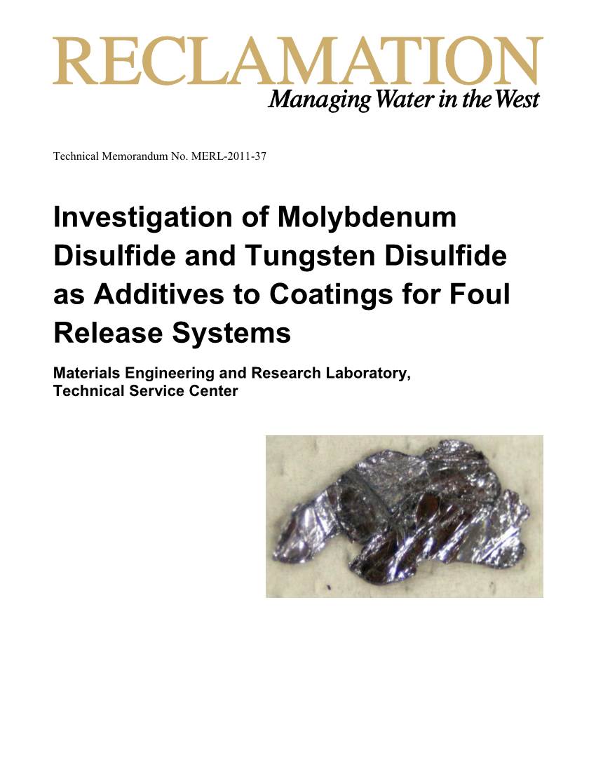Investigation of Molybdenum Disulfide and Tungsten Disulfide As