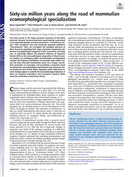 Sixty-Six Million Years Along the Road of Mammalian Ecomorphological Specialization