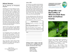 Dragonflies and Damselflies of Warriors Path State Park And