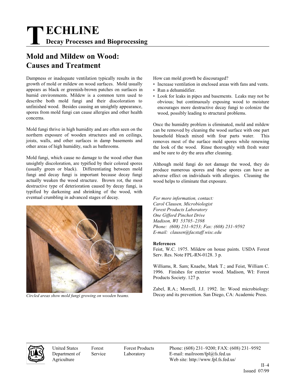 Mold and Mildew on Wood: Causes and Treatment