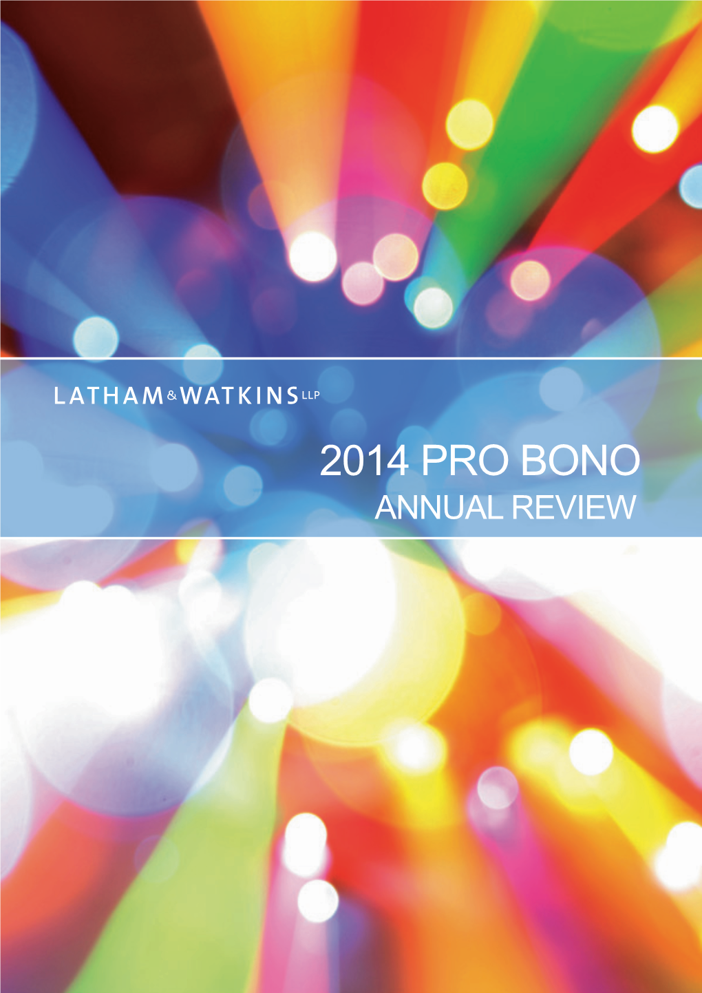 Pro Bono Annual Review 2014