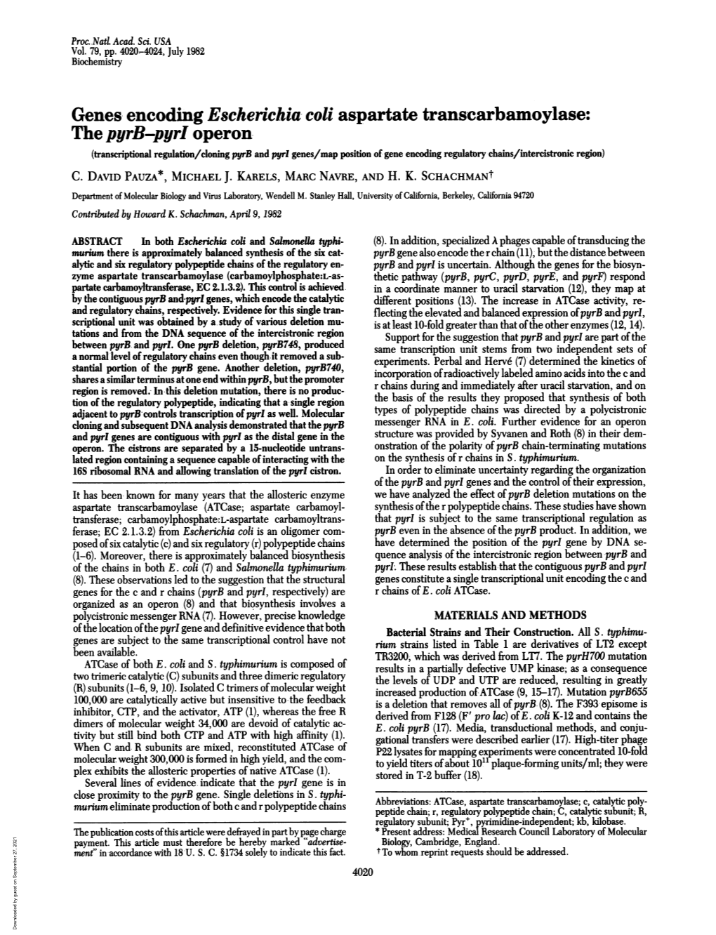 Genes Encoding Escherichia Coli Aspartate Transcarbamoylase