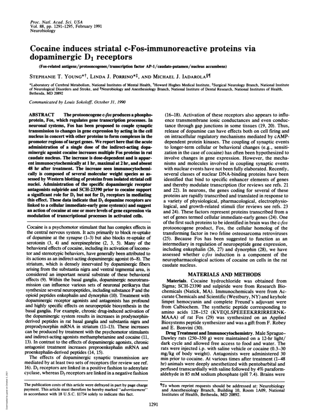 Cocaine Induces Striatal C-Fos-Immunoreactive Proteins Via