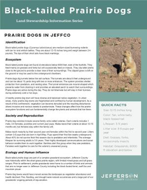Black-Tailed Prairie Dogs
