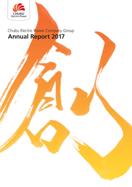 Annual Report 2017[PDF:13857KB]