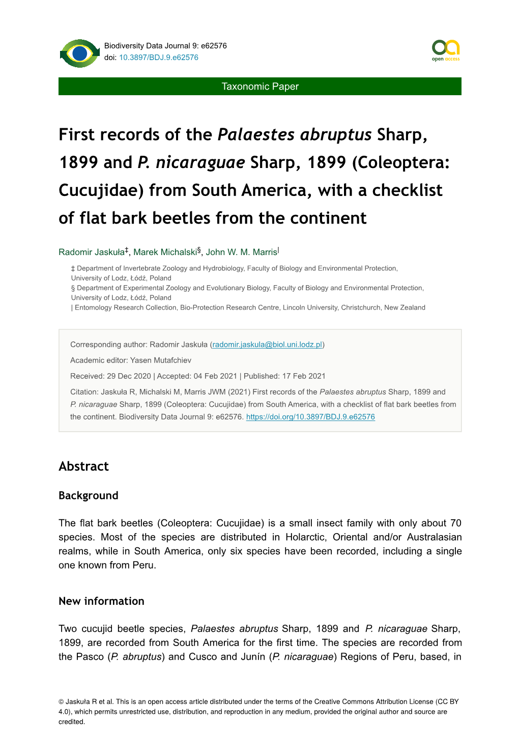 Coleoptera: Cucujidae) from South America, with a Checklist of Flat Bark Beetles from the Continent