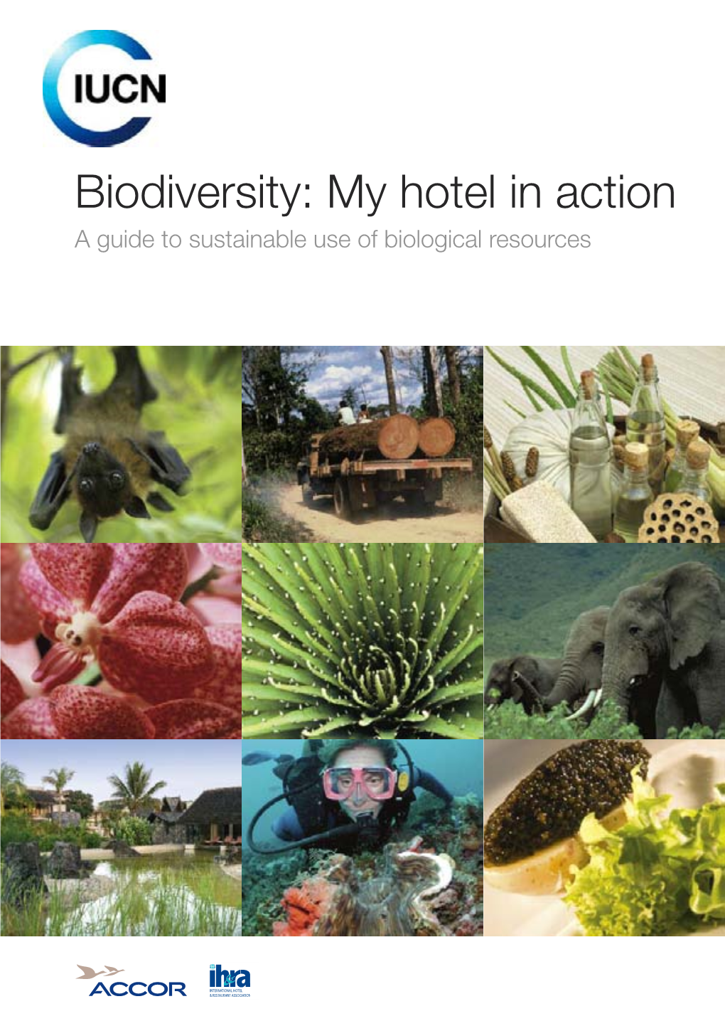 Biodiversity: My Hotel in Action (PDF, 3.2