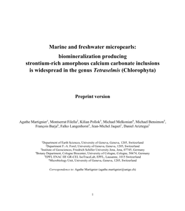 Download Preprint