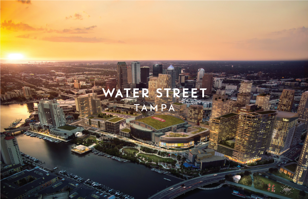 815-Water-St-Tampa.Pdf