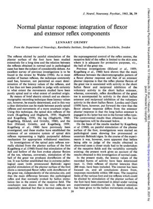 Normal Plantar Response: Integration of Flexor and Extensor Reflex Components