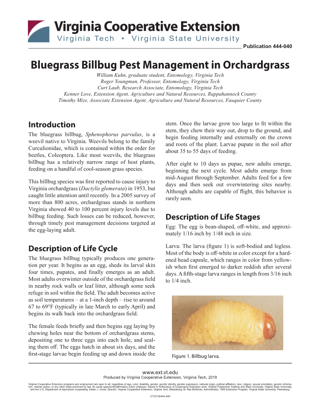 Bluegrass Billbug Pest Management in Orchardgrass