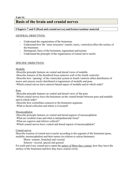 Basis of the Brain and Cranial Nerves