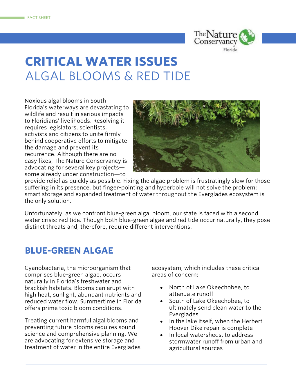 Critical Water Issues Algal Blooms & Red Tide