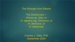 The Stranger from Siberia the Denisovans