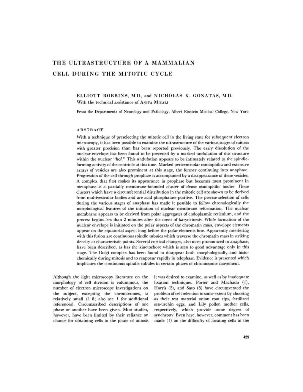 The Ultrastructure of a Mammalian Cell During The