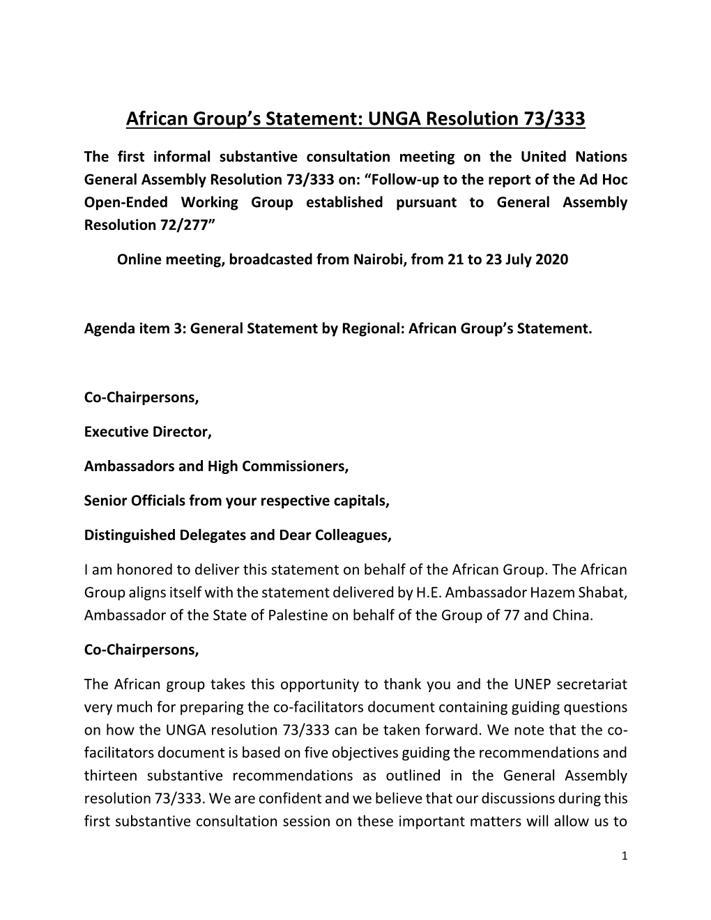 African Group's Statement: UNGA Resolution 73/333