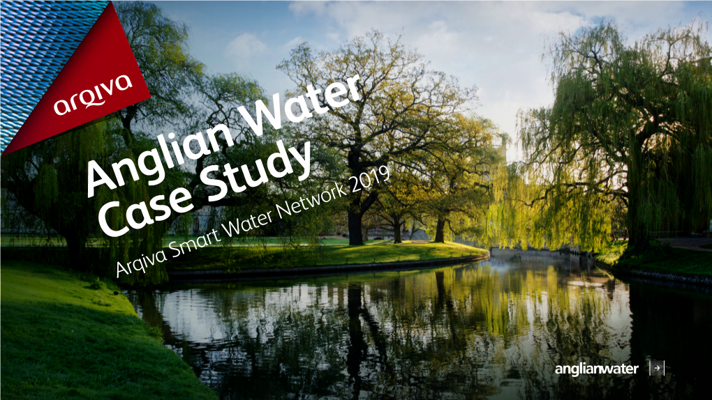 Anglian Water Case Study Arqiva Smart Water Network 2019 Challenge One of the Industry’S Most Efficient and Sustainable Providers