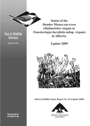 Status of Slender Mouse-Ear-Cress in Alberta 2009