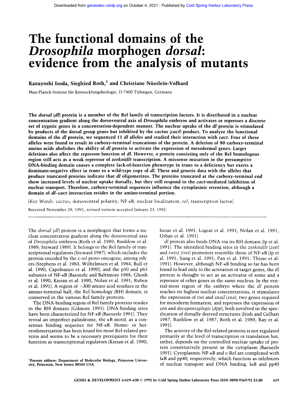 The Functional Domains of the Drosophila Morphogen Dorsal: Evidence from the Analysis of Mutants