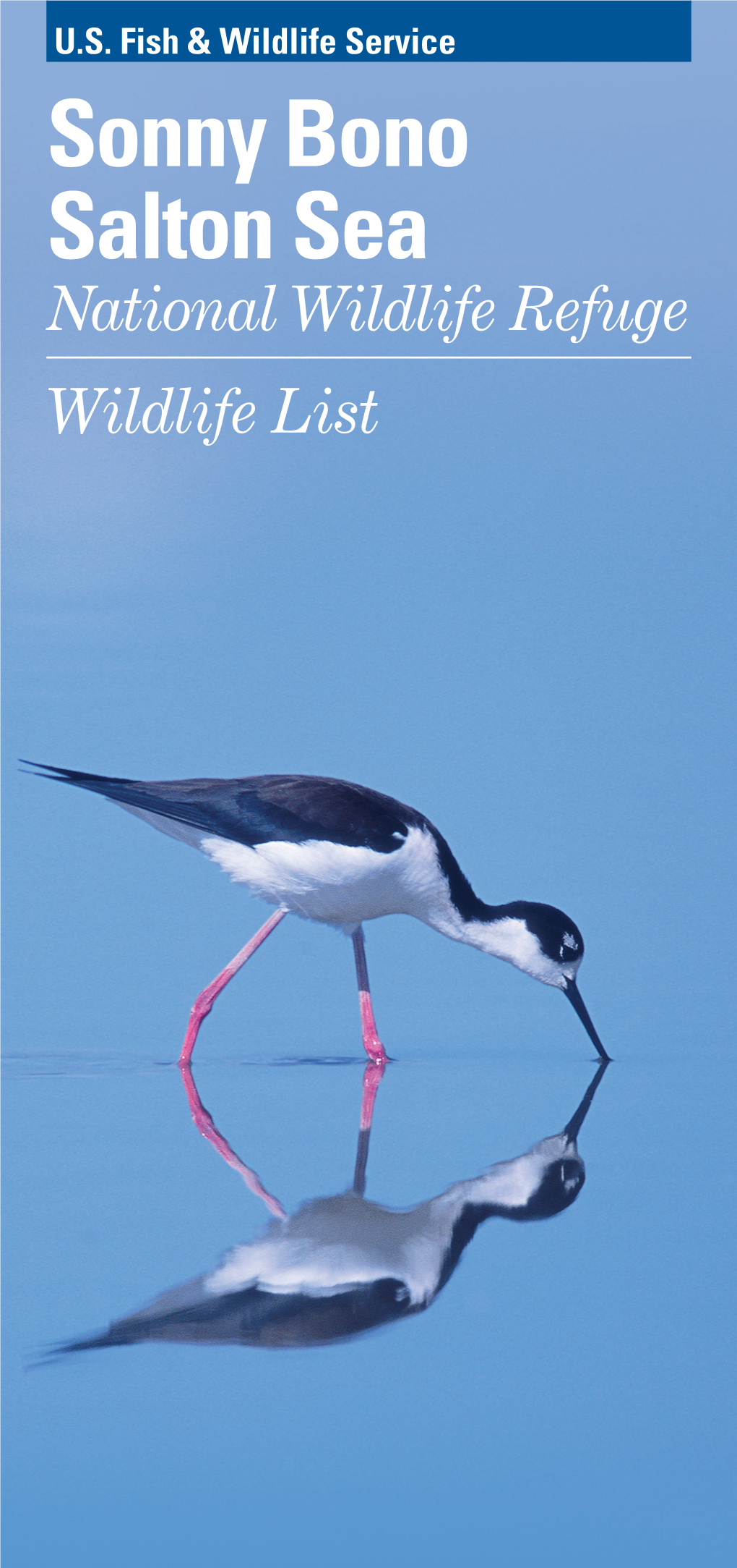 Sonny Bono Salton Sea National Wildlife Refuge Wildlife List Introduction