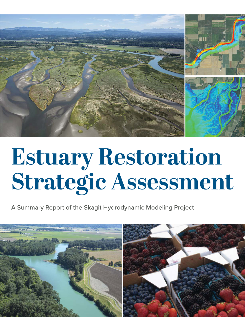 Estuary Restoration Strategic Assessment: a Summary Report Of