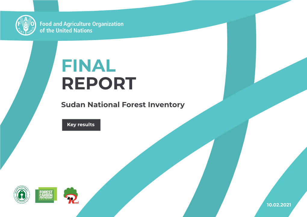 Final Report