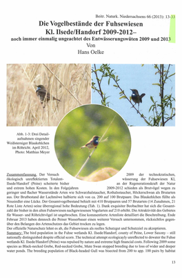 Die Vogelbestände Der Fuhsewiesen Kl. Ilsede/Handorf 2009-2012- Noch Immer Einmalig Ungeachtet Des Entwässerungswüten 2009 Und 2013 Von Hans Oelke