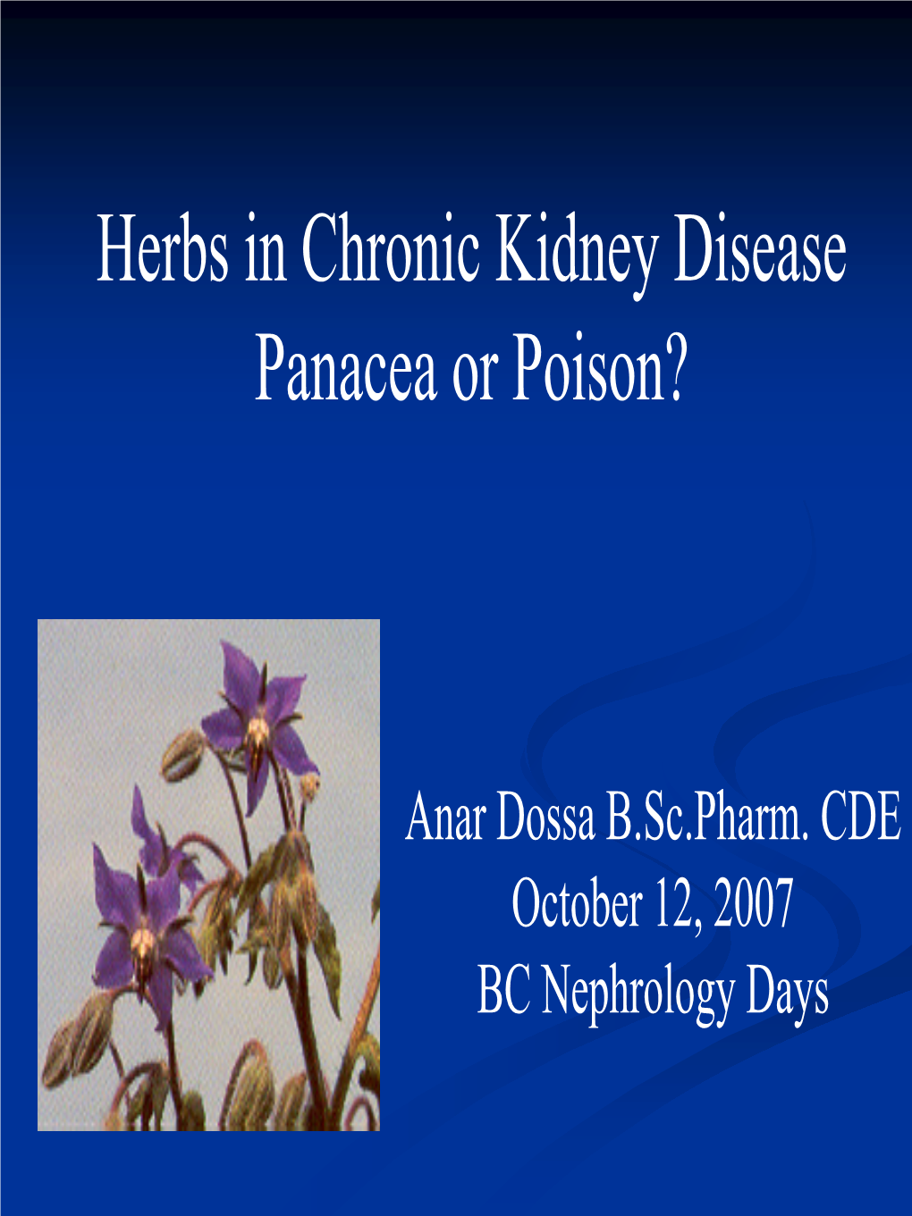 Herbs in Chronic Kidney Disease Panacea Or Poison?