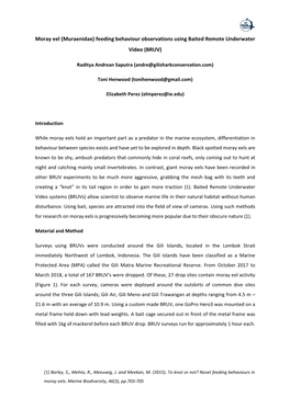 Moray Eel (Muraenidae) Feeding Behaviour Observations Using Baited Remote Underwater Video (BRUV)